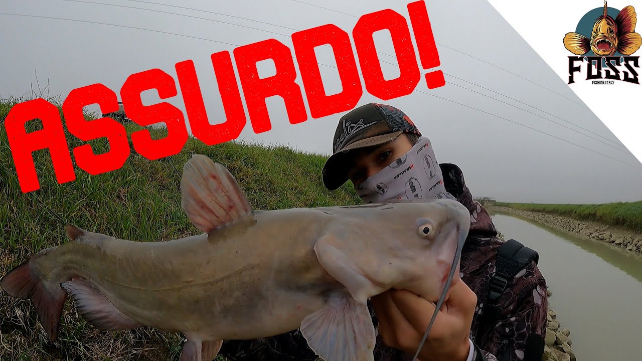 FOSS FISHING PRE INVERNALE ESTREMO! - (mangiate e catture indimenticabili.)