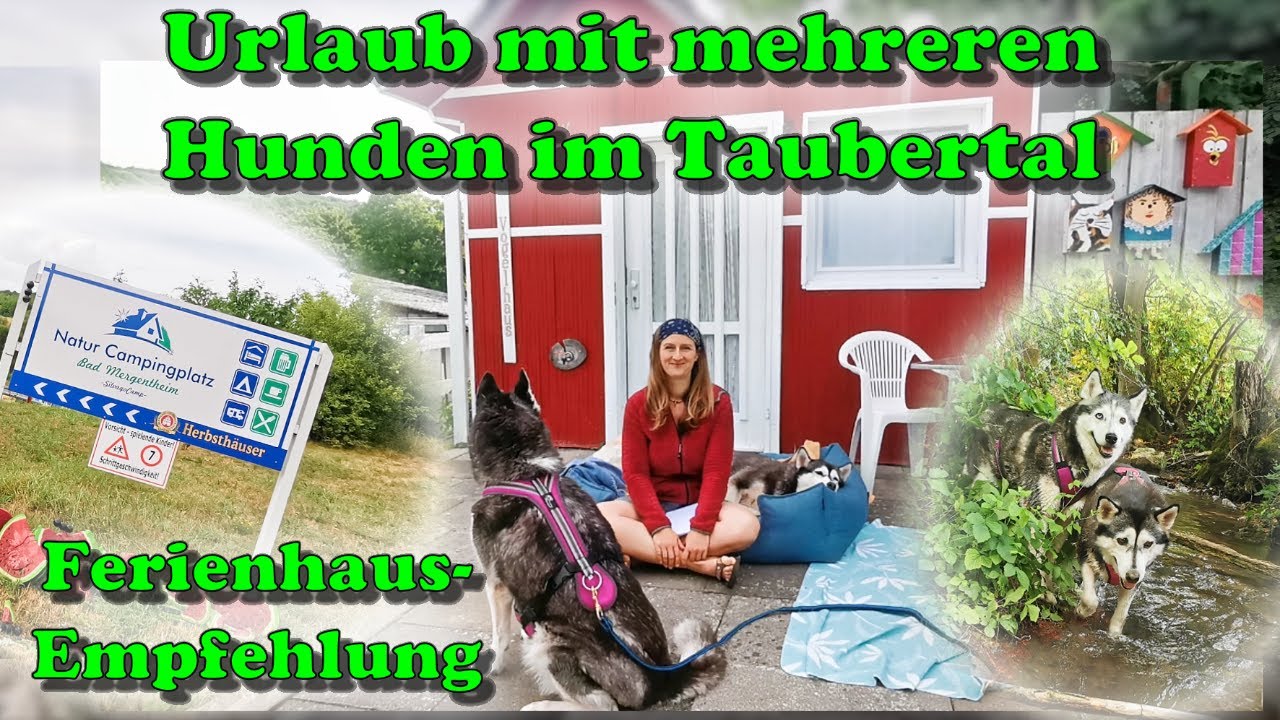 Urlaub mit mehreren Hunden – Ferienhäuschen auf dem Natur-Campingplatz / Bad Mergentheim👍