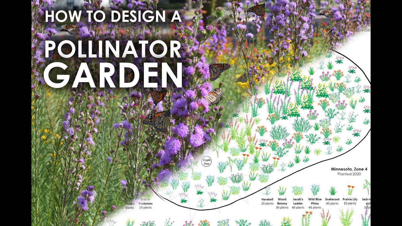 Design a Pollinator Garden with this Free Design Tool!
