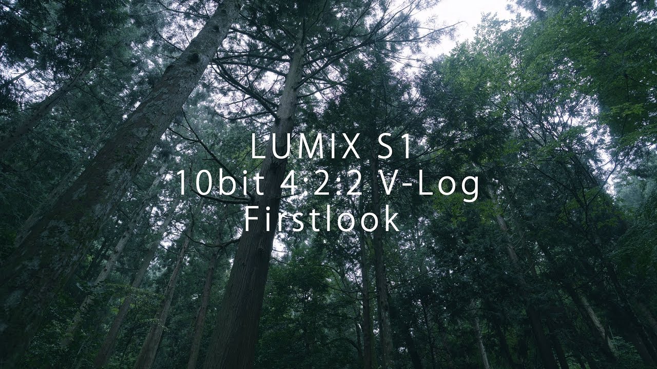 LUMIX S1 Vlog Firstlook
