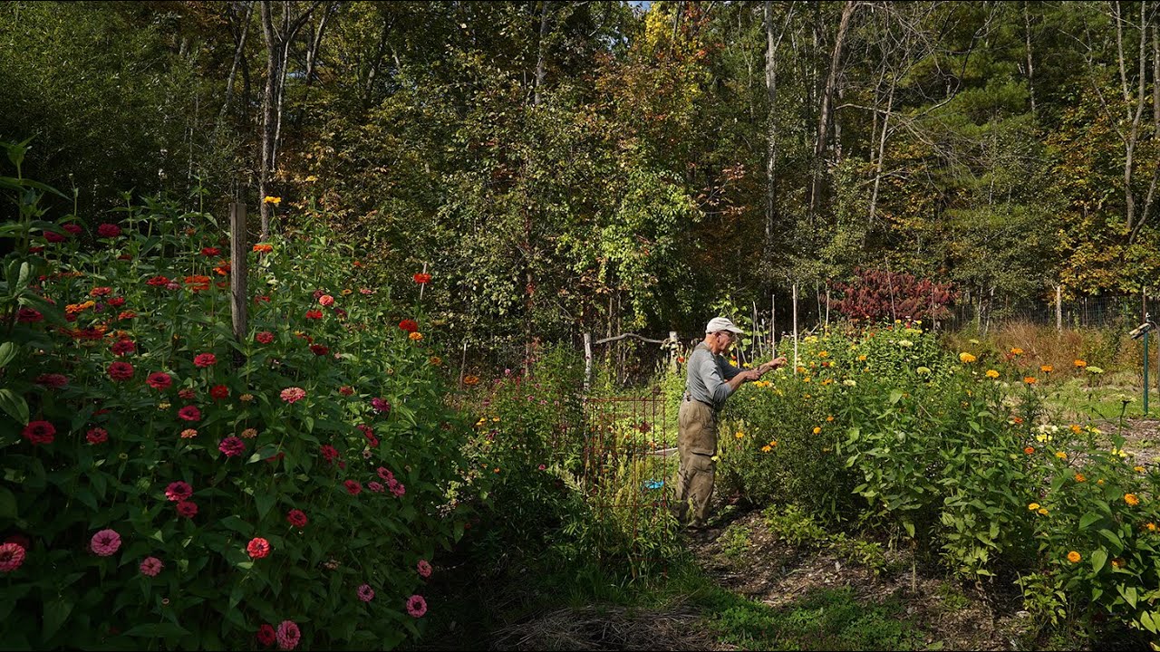A Tour of the Monastery Garden (2020)