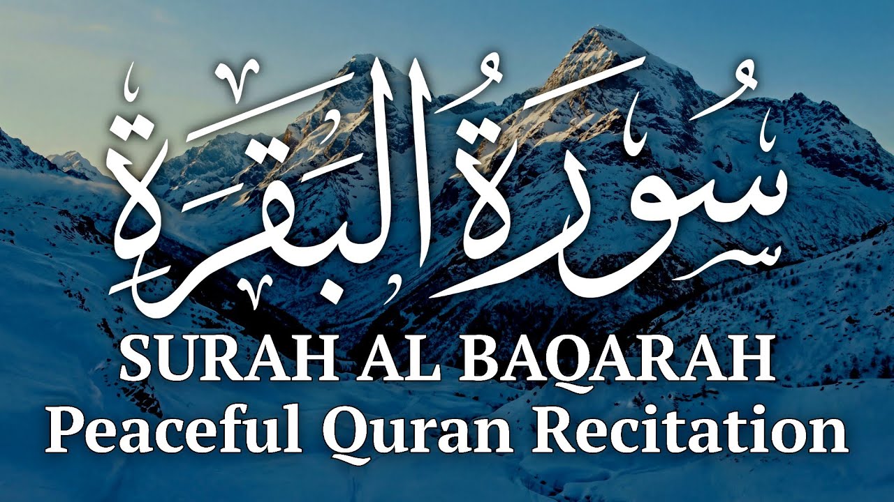 Peaceful Quran Recitation for Deep Relaxation 🌨️ | Snowy Winter Ambience | Stress Relief