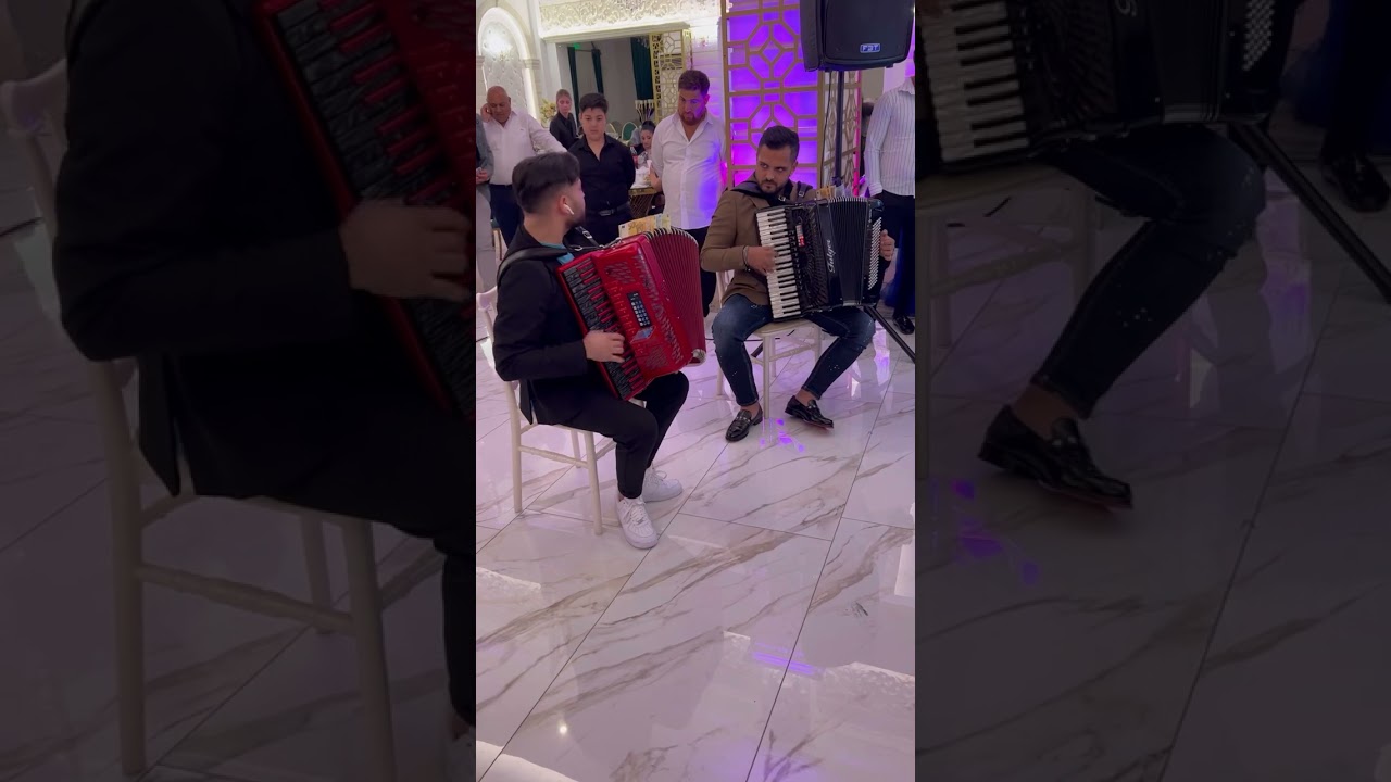 Ionuț Turcanu și Marius Fulger - Doi acordeoniști de mare valoare ai României🇹🇩