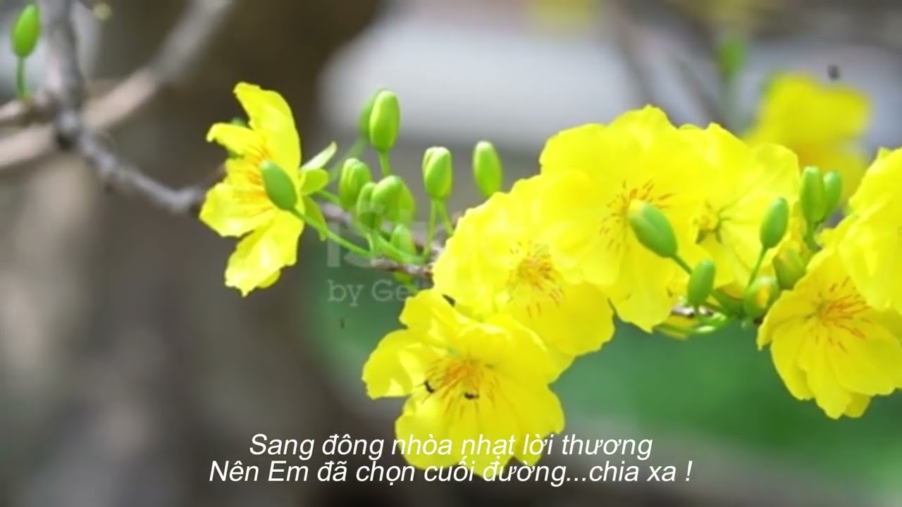 Thuở Nào Chung Đôi - Rock Ballad - Ts. Công Hoán - Thơ: Đỗ Liêm #Rockballad #Rock #Ballad #Tinhca