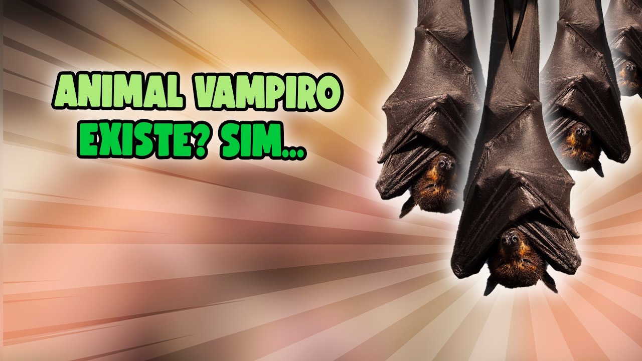 QUAIS S&Atilde;O OS ANIMAIS VAMPIRESCOS DESSE MUNDO?!