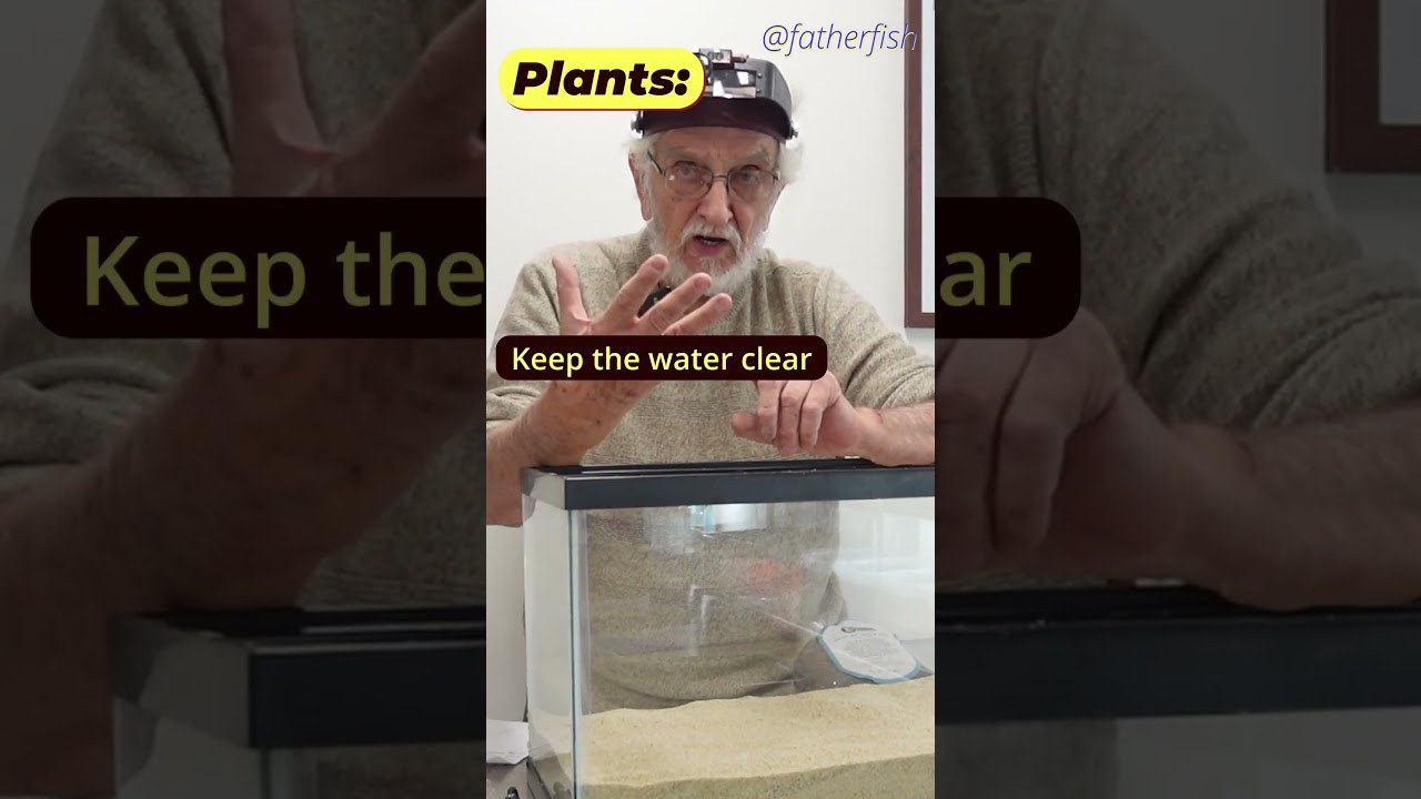 The DEFINITIVE GUIDE to Natural Substrate - Watch FULL VIDEO