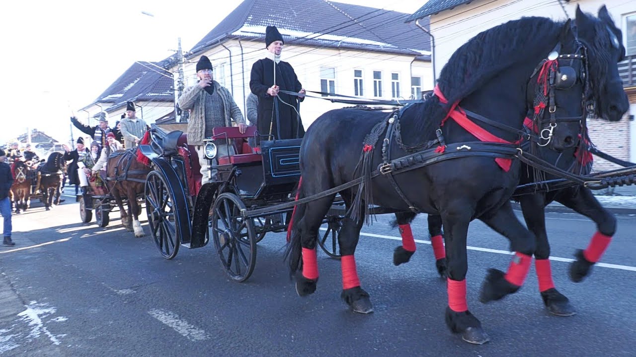 Parada cailor Câmpulung Moldovenesc 27 Decembrie 2025 ep. 1