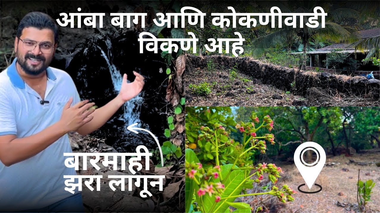 बारमाही झऱ्यालगत 180 गुंठा कोकणी वाडी अविश्वसनीय किंमतीत ! Best for Ecotourism