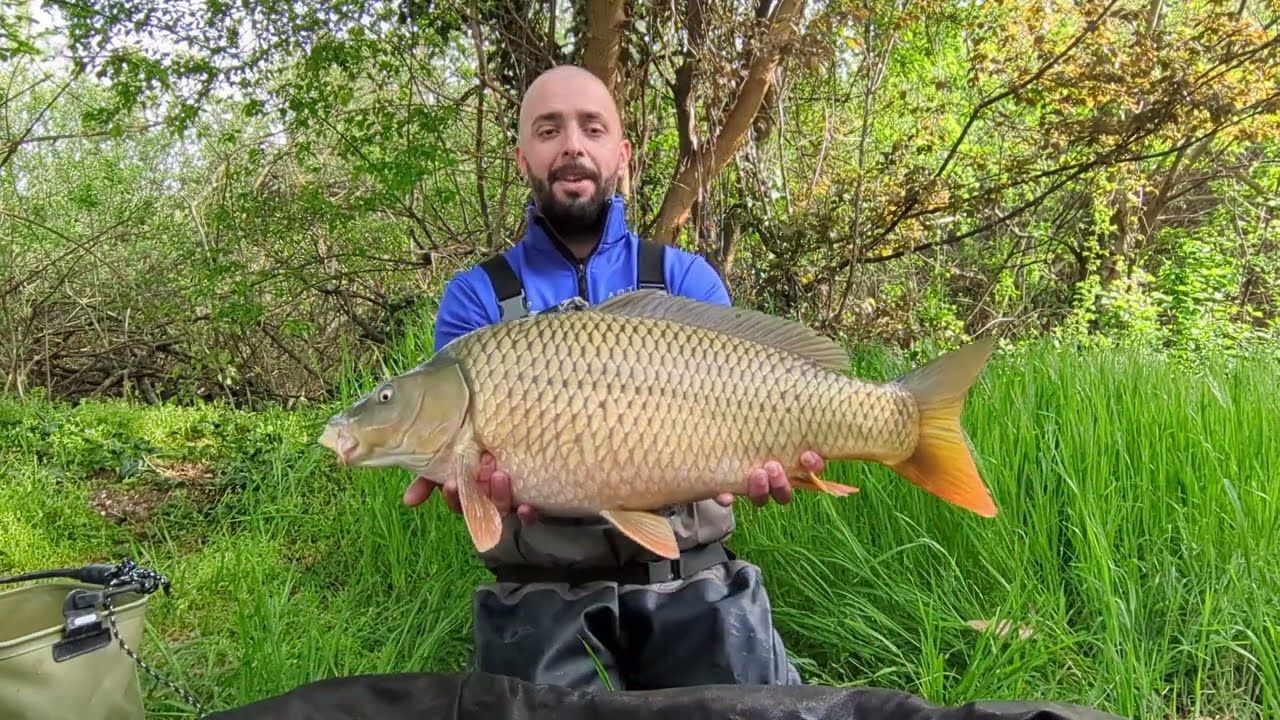 A nem mindig kegyes Balaton