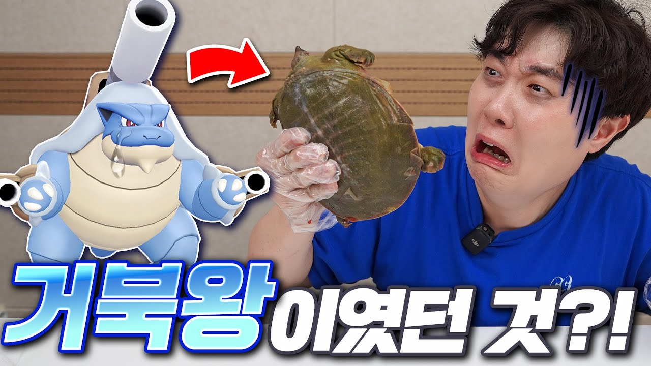 동심파괴주의... 이번 포켓몬고 먹방(?) 메가 거북왕 레이드입니다...