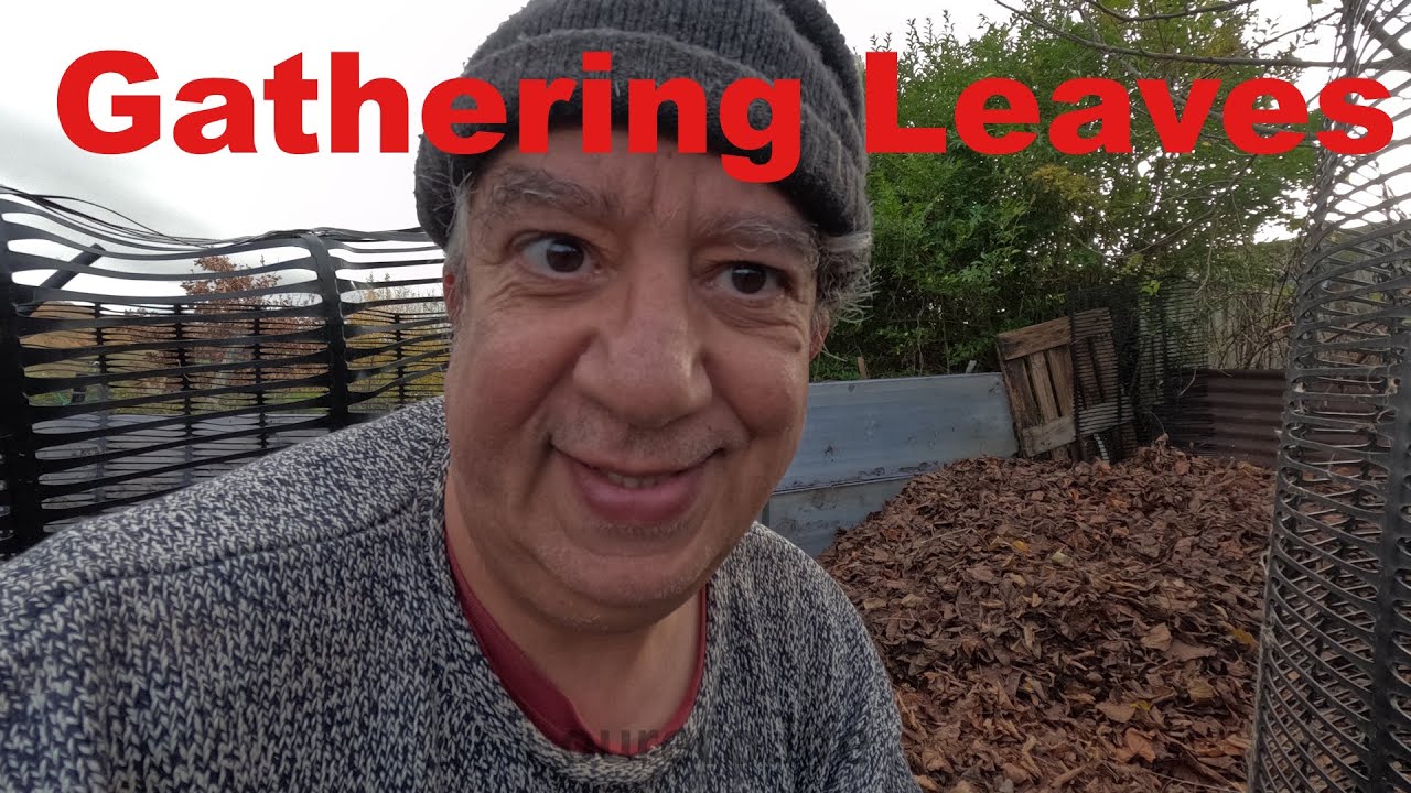 Filling Leaf And Compost Bins On The Low Maintenance Allotment, Allotment Gardening Diary
