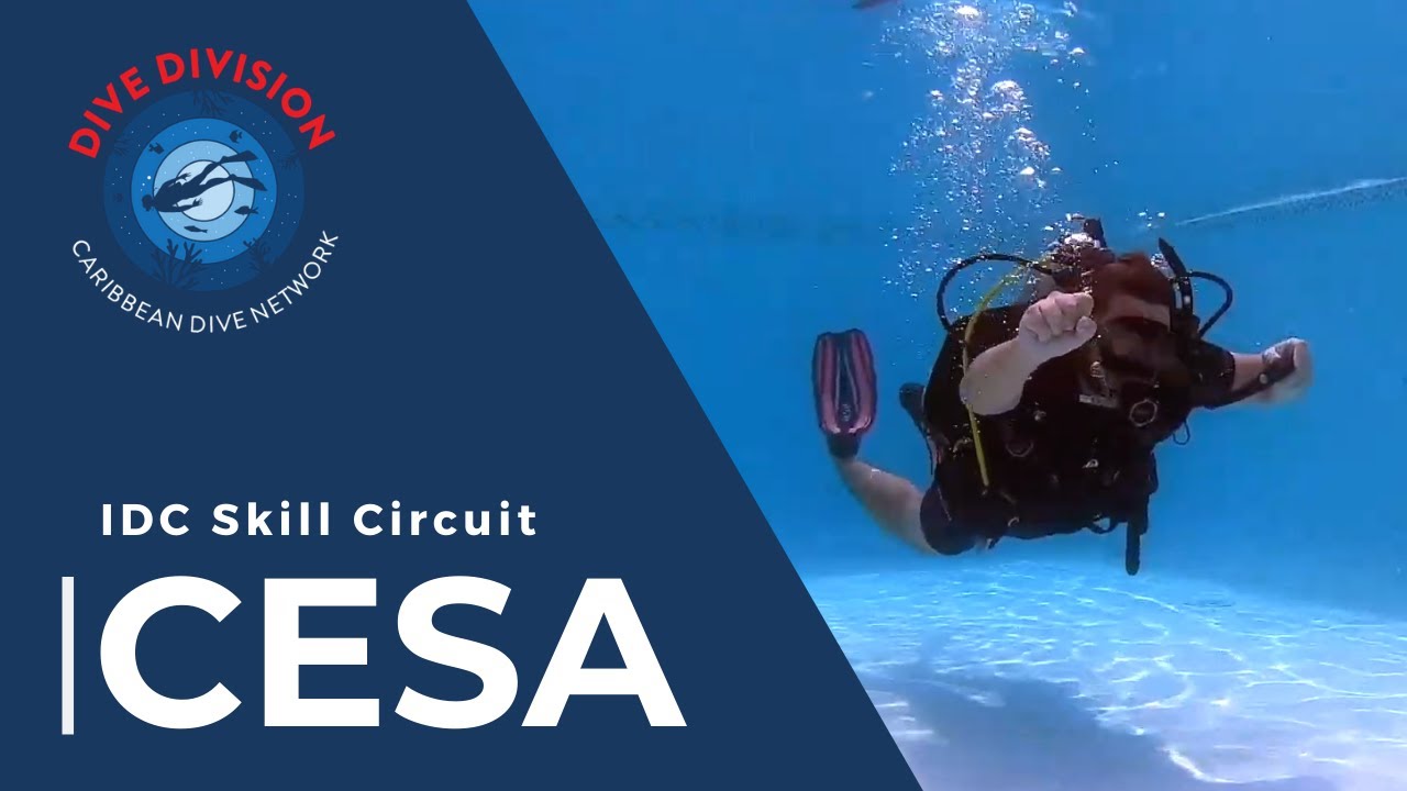 PADI IDC Skill Circuit: CESA Cont. Emergency Swimming Ascent (Revised Instructor Development Course)