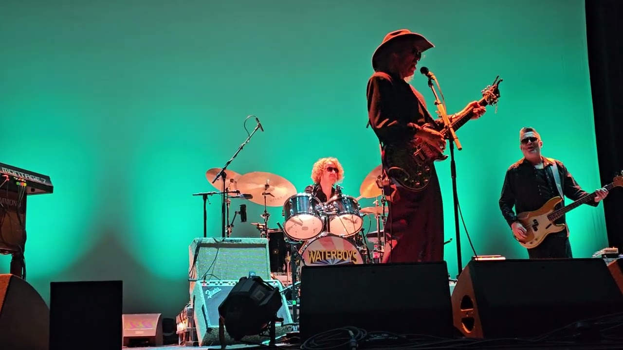 The Waterboys 