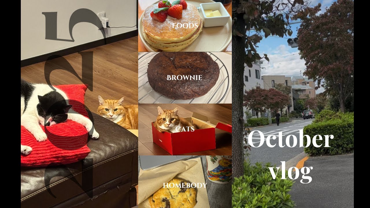 October Silent Vlog: burnout, cats, bad weather