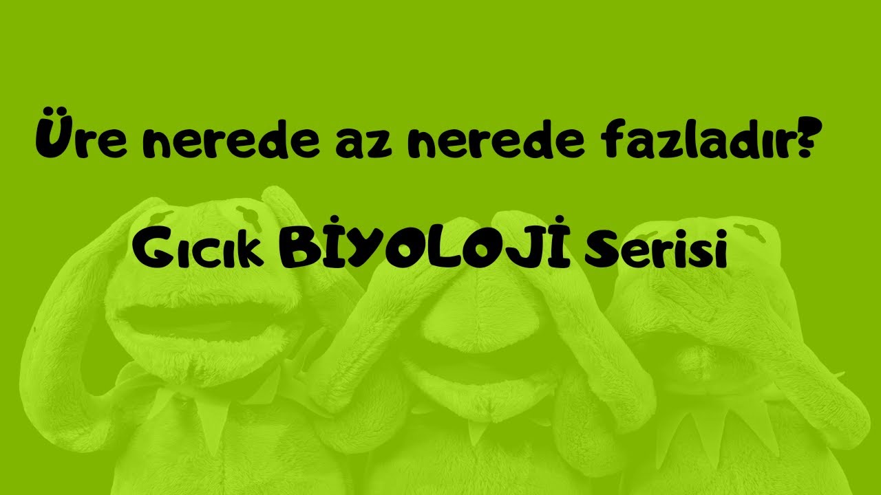 Üre nerede az nerede fazladır?