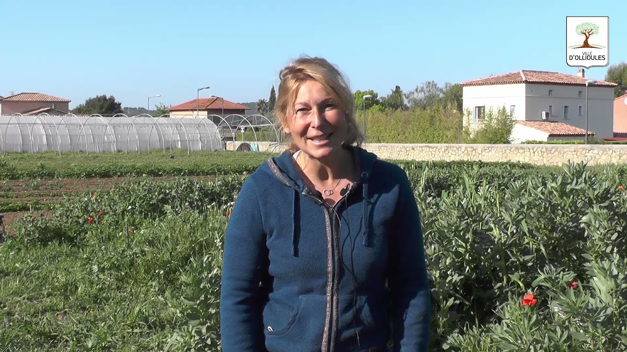 👉 D&eacute;couverte : Domaine de l'Enregado &agrave; Ollioules : une culture passionn&eacute;ment bio ! 🥕🍎🍅🍓🧄