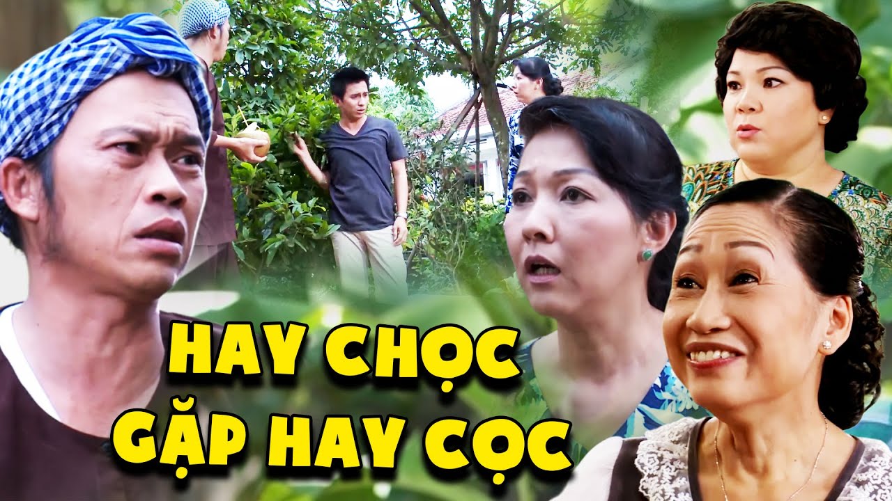 Phim Việt Nam Mới 2024 | HAY CHỌC GẶP HAY CỌC | Phim Việt Nam Mới Hay Nhất 2024 | Phim Hài Hoài Linh