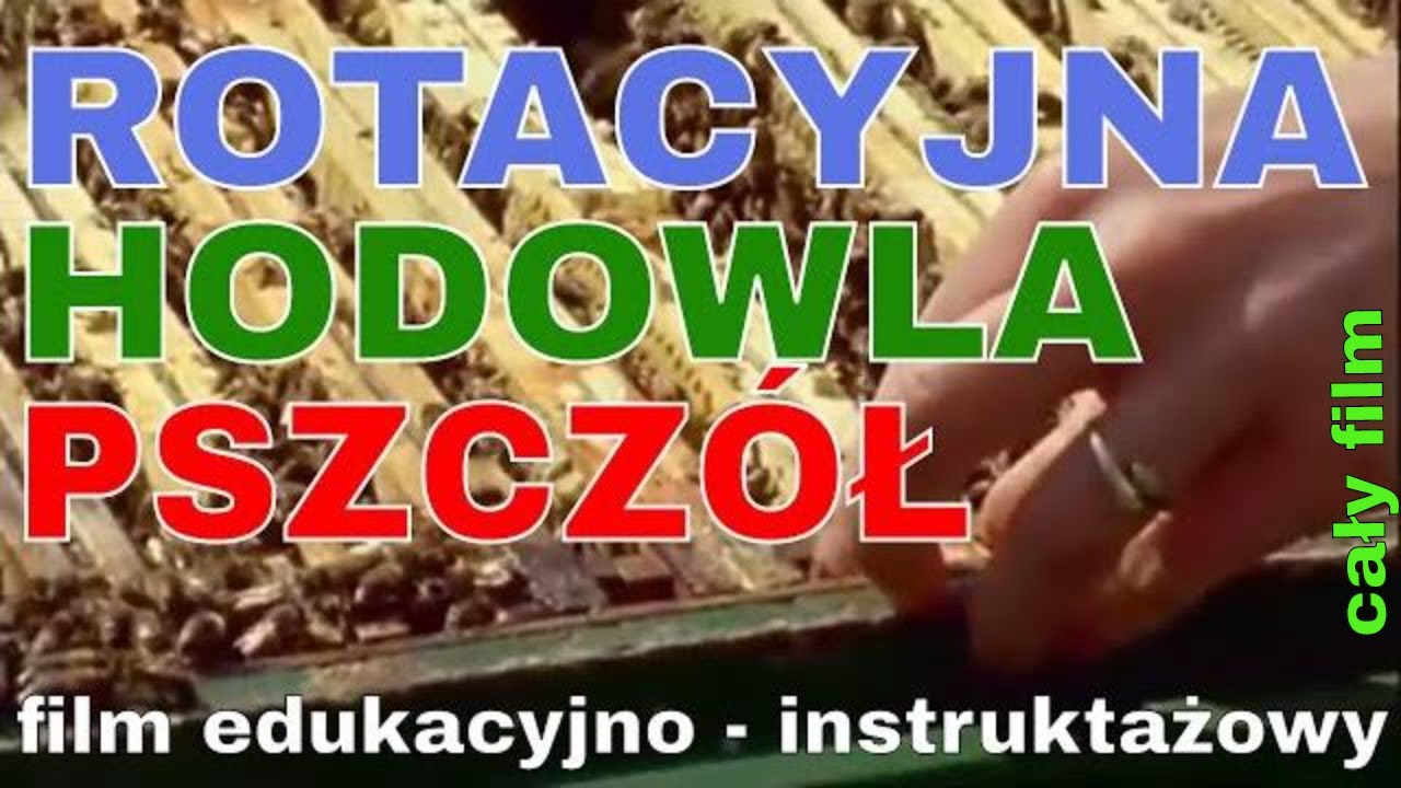 Rotacyjna hodowla pszczół - film edukacyjny instruktażowy #gospodarka #pszczela #dolnośląskie #miody