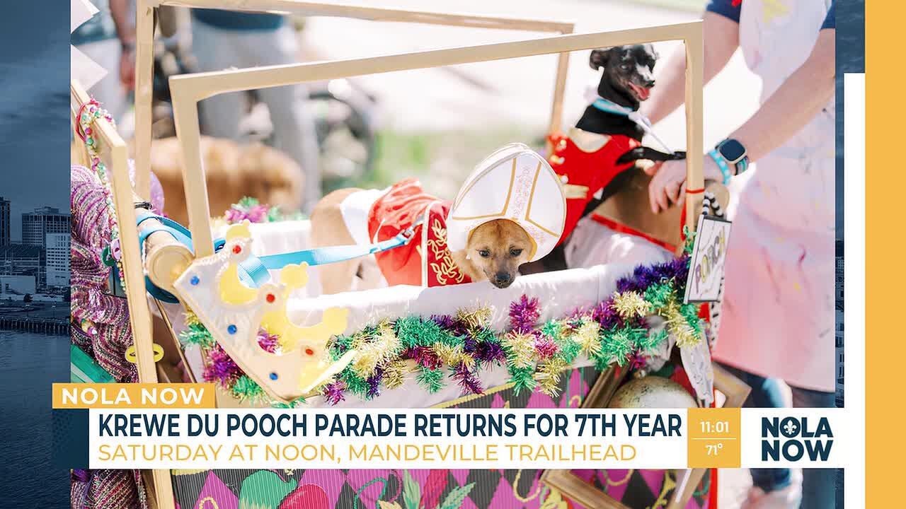 Weekend Preview: Events kicking off in New Orleans, surrounding areas