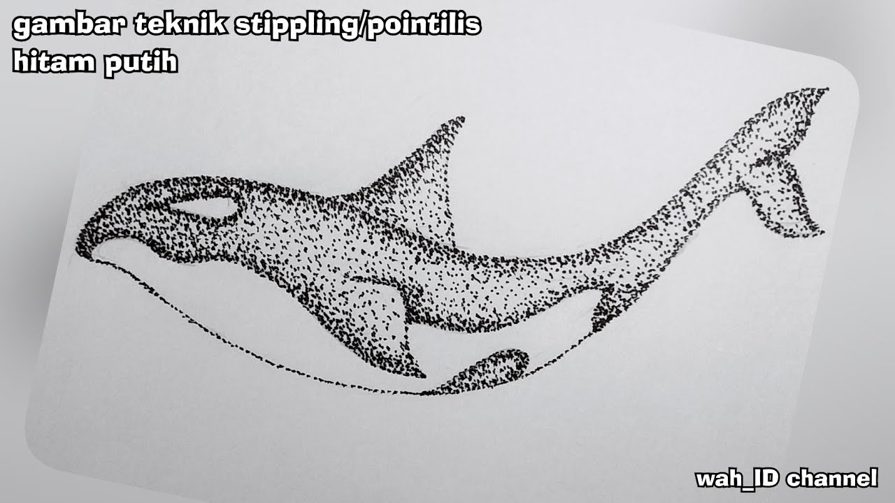 menggambar paus orca | pointilism drawing/stippling | gambar teknik pointilis | @wah_ID channel