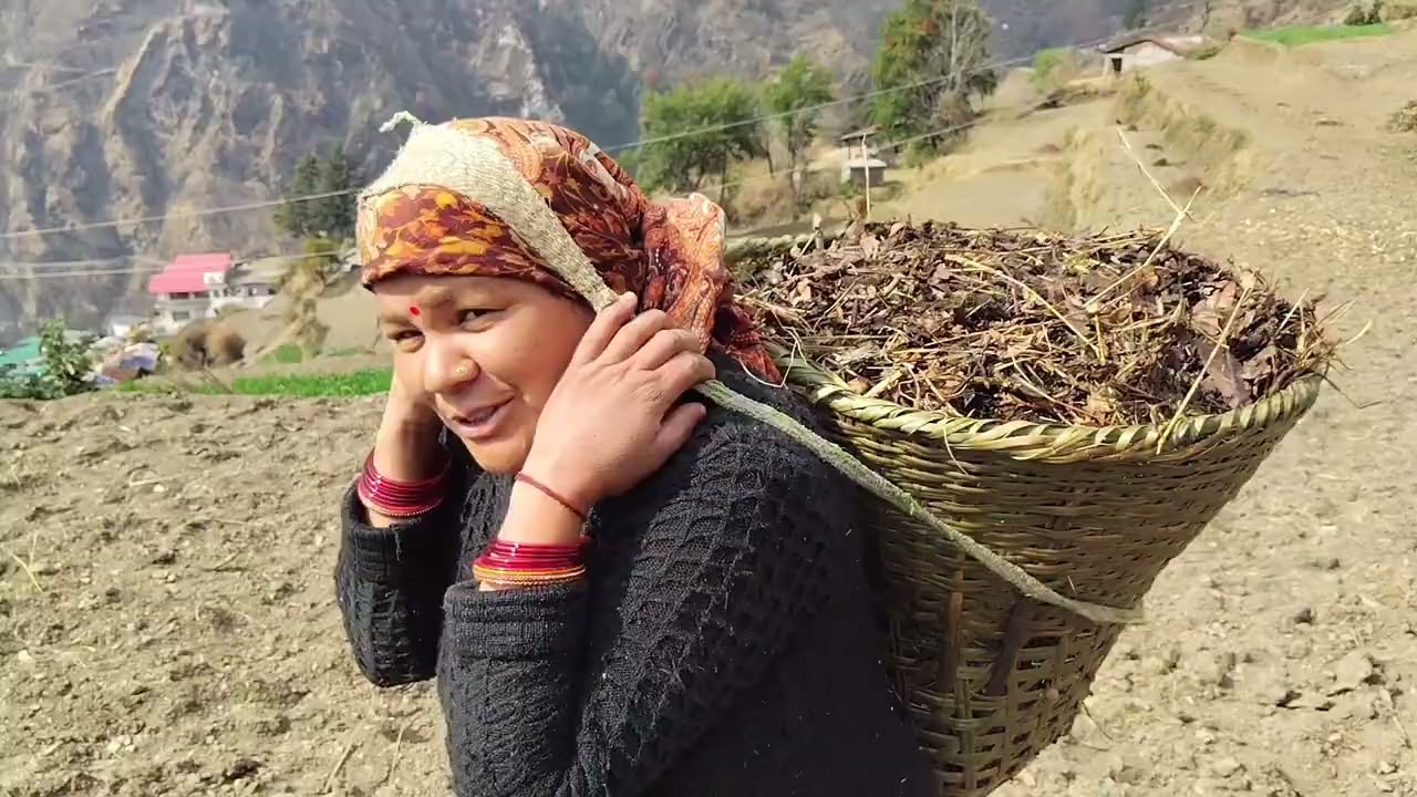 हेलो दोस्तो नमस्ते मेरा आज का काम 🙏🫶