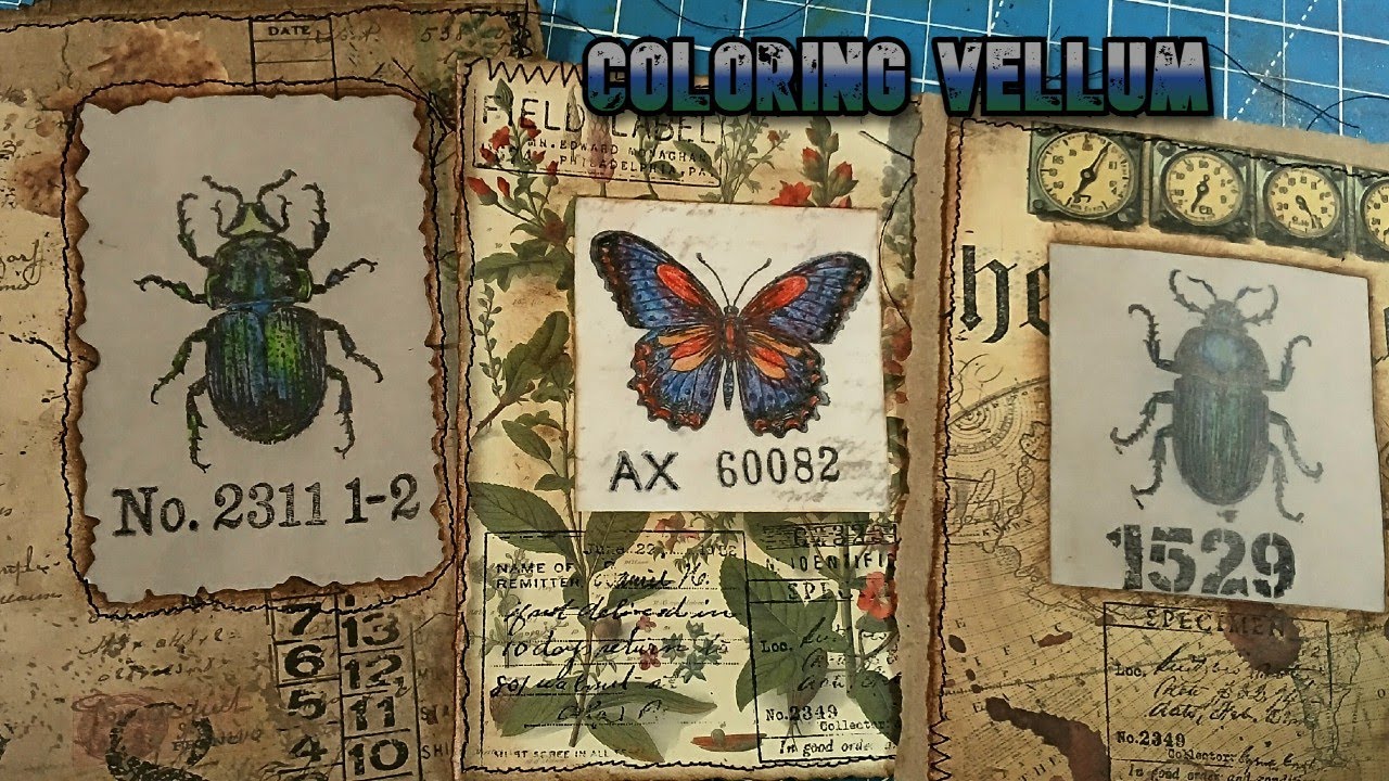 COLORING VELLUM - SPECIMEN CARDS, WRITING SPOTS, AND JUST PRETTY EPHEMERA 💖
