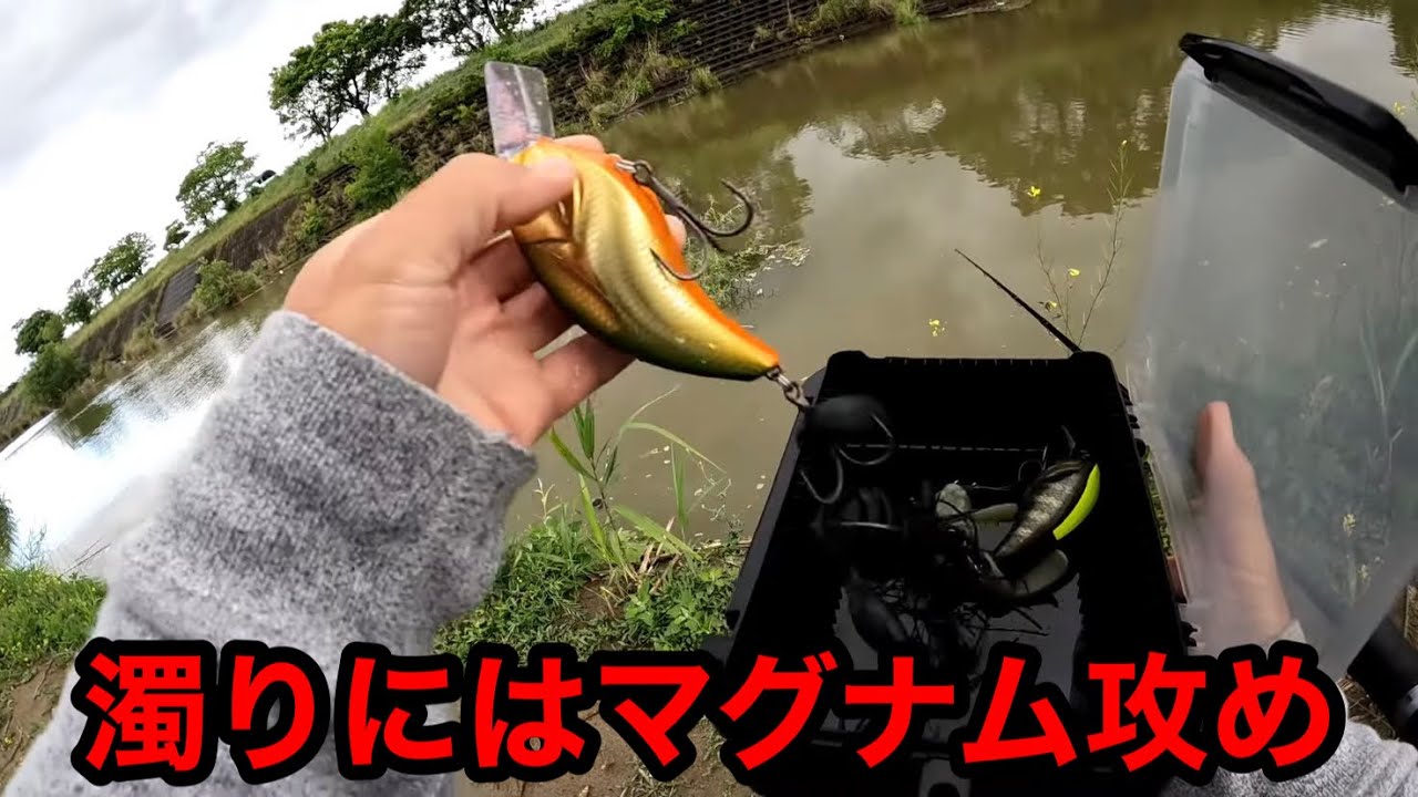 雨後の濁りにはマグナムでモンスター狙います