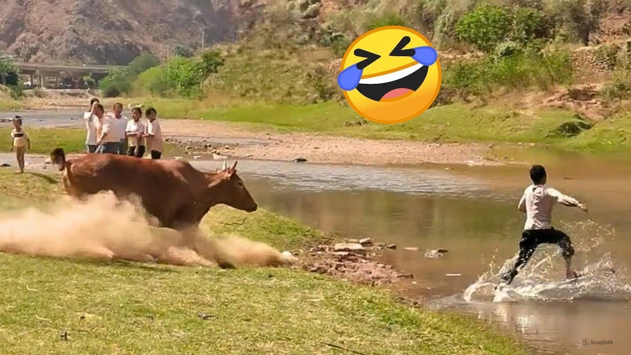 Try not to  laugh challenge (impossible 🤣) you laugh you lose