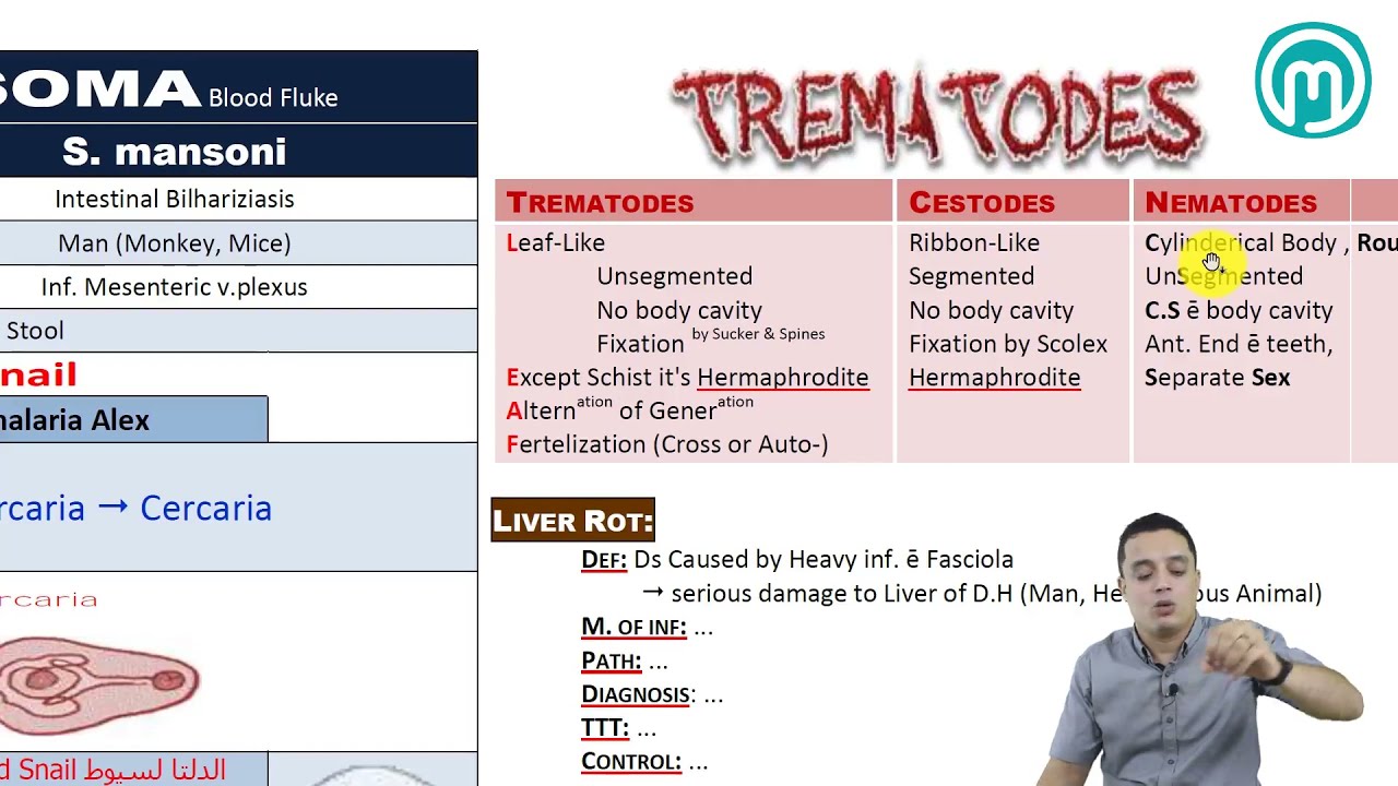 06  TREMATODES REVISION
