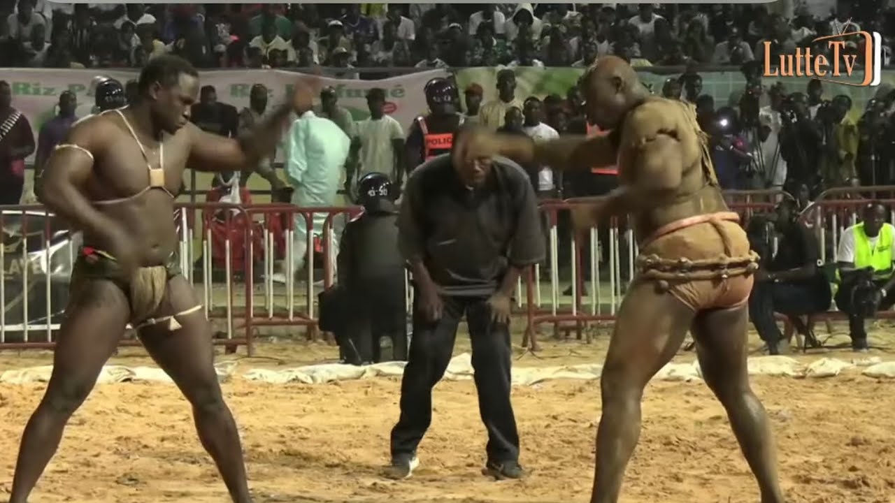 Combat Zarko vs Diène Kairé : Une chute spectaculaire!