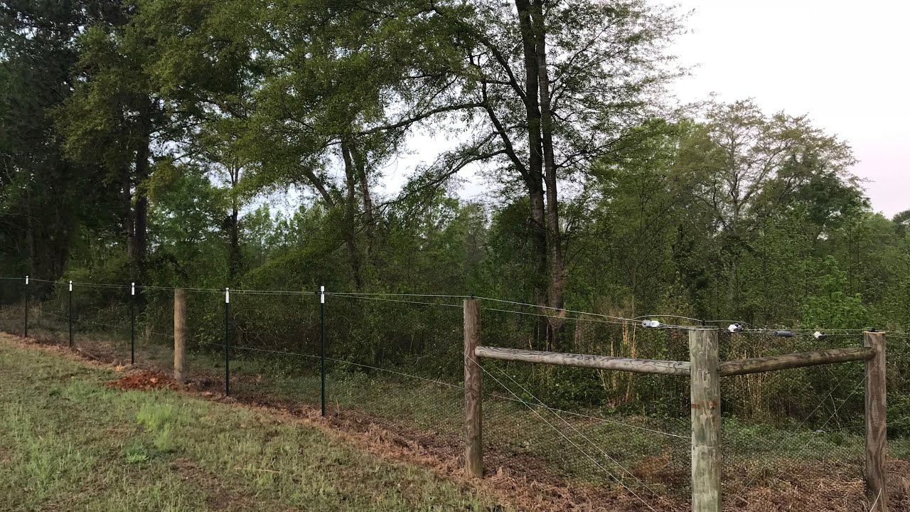 How to build a BEAGLE TRAINING PEN
