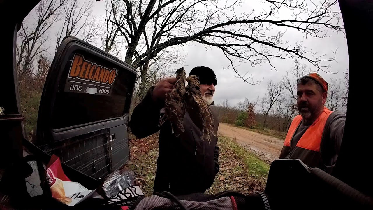 woodcock hunting Greece 31/1/2026μπεκατσες by teo orestiada"BELCANDO DOG FOOD,,, Trip 60