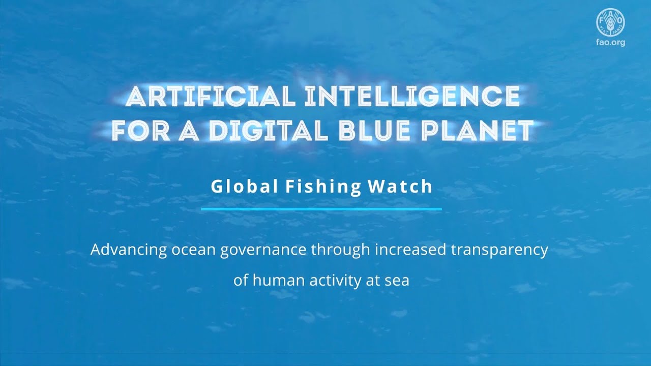 FAO AI4DBP Advancing ocean governance through increased transparency of human activity at sea