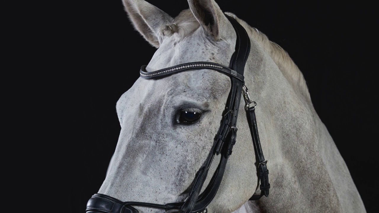 GFS Premier Alpine Bridle - Product Video