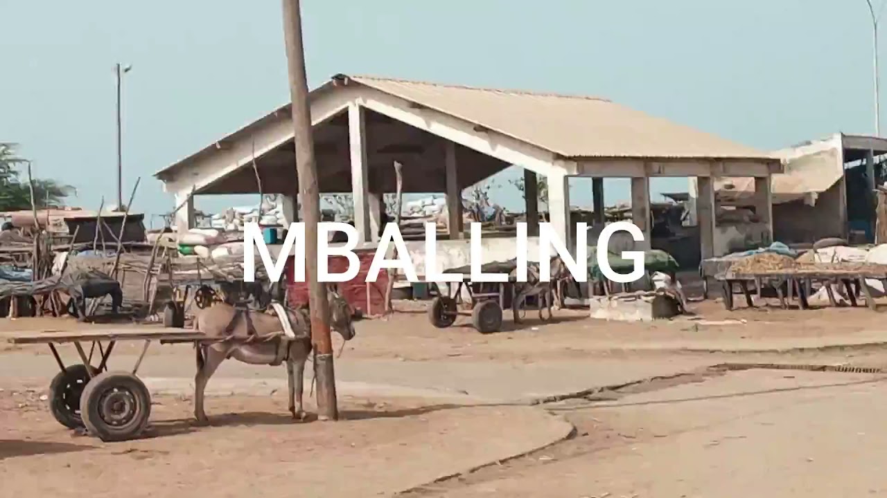 Transformation produits halieutiques à Mballing