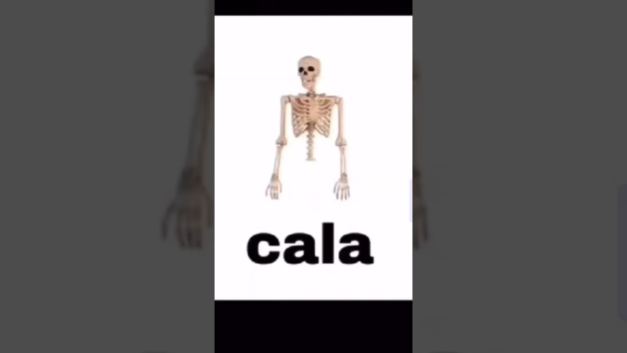 calaca #memes #funny #subscribe