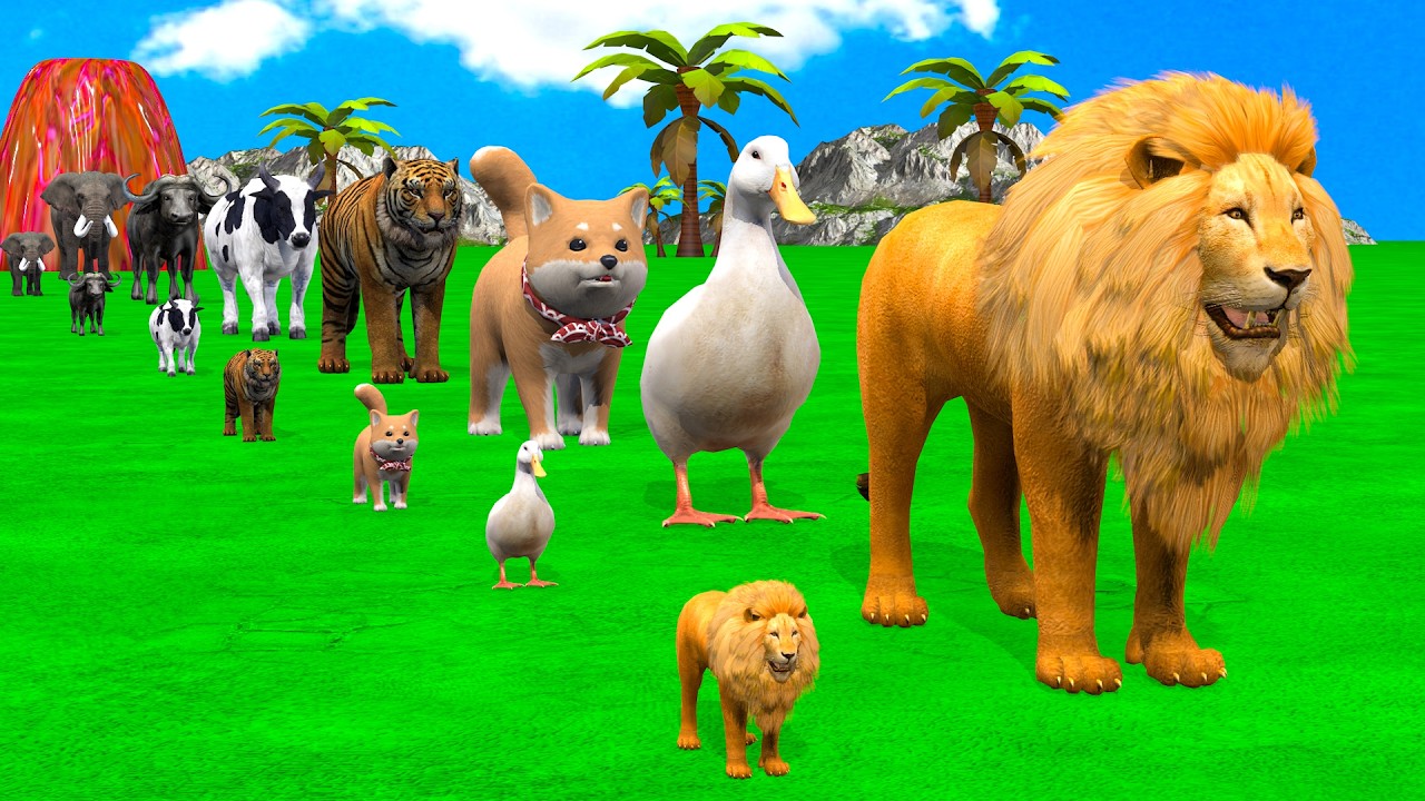 Long Slide Game with Cow Elephant Gorilla Hippopotamus Tiger 3d Animal Game Funny 3d Animals