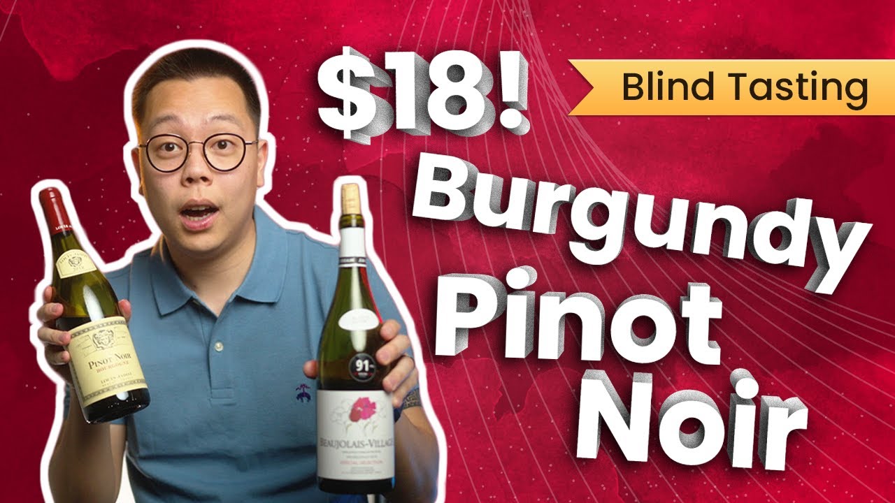 Best Cheap and Affordable Pinot Noir | Wine Verdict