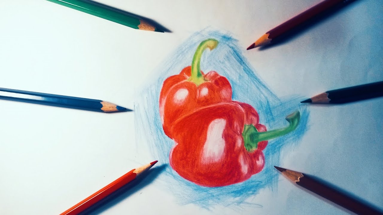 Realistic Red Capsicum Drawing with Color Pencils | Step by Step Tutorial