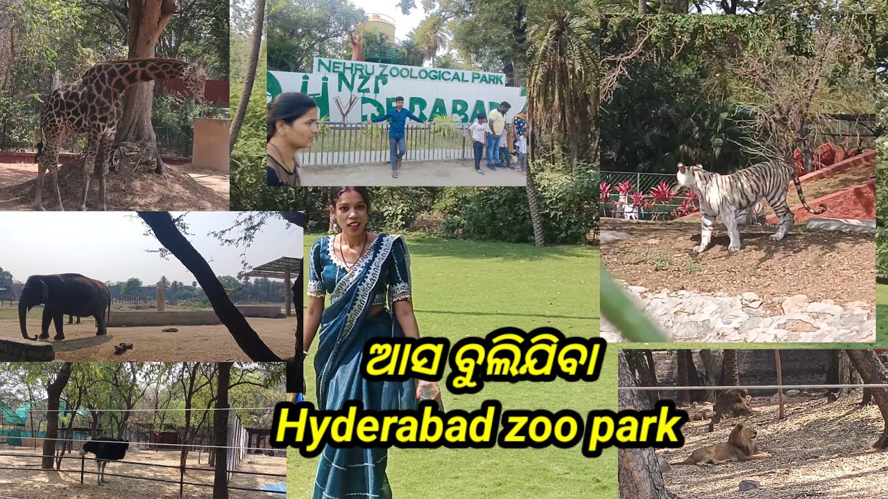 ଶୀଘ୍ର ଶୀଘ୍ର viedeoଟିକୁ ଦେଖୋ ଆଉ commentରେ କୁହ କେମିତି ଲାଗୁଚି🥰🥰🥰Jay Jagannath#please #support#subscribe