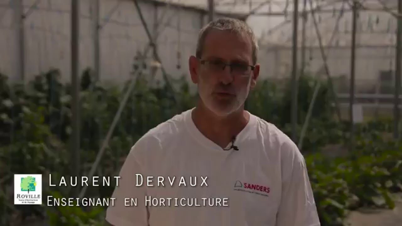 Fili&egrave;re production horticole &agrave; l'Ecole de Roville aux Ch&ecirc;nes