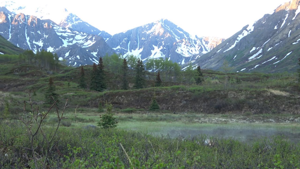 A morning walk on the trail to Eagle and Symphony lake in Alaska