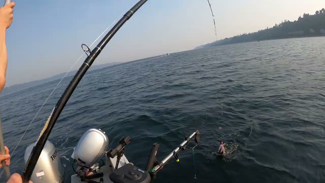 Puget sound August 2023