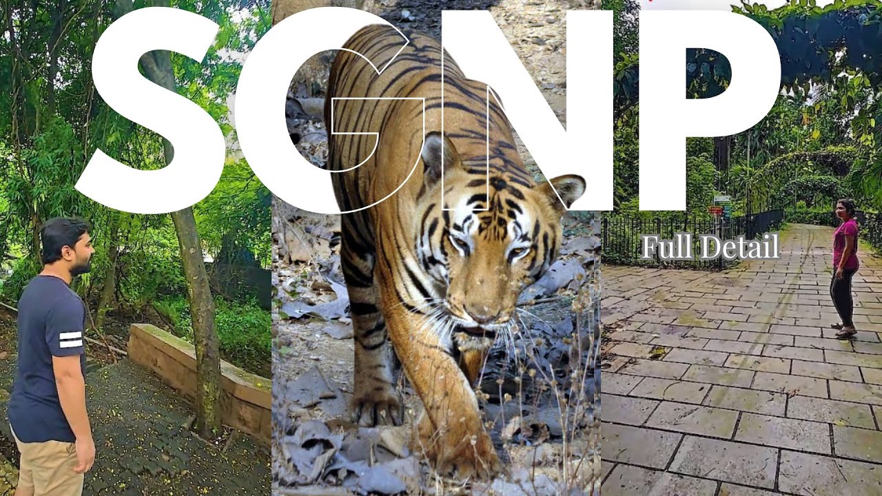Exploring Sanjay Gandhi National Park: Mumbai's Hidden Gem