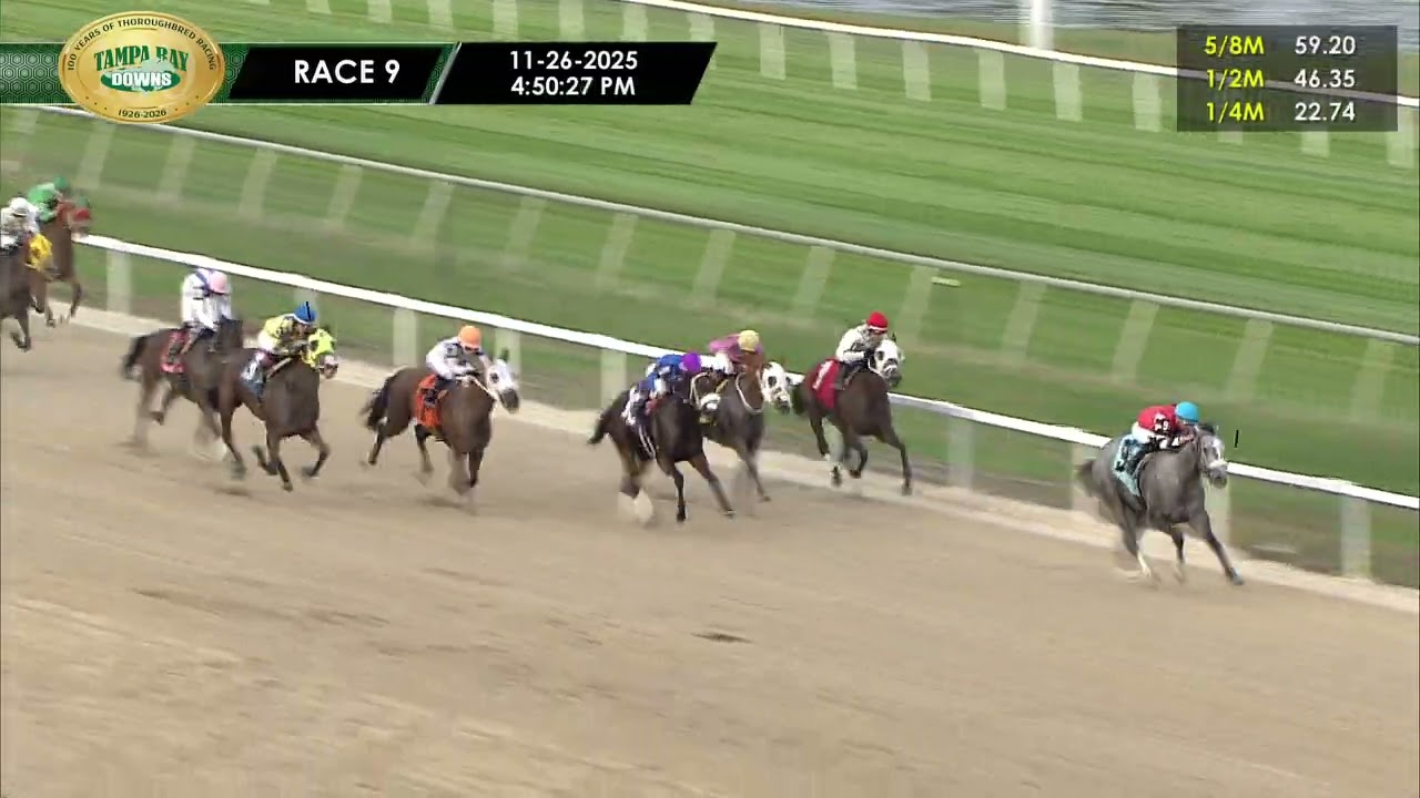 November 26, 2025  Race 9