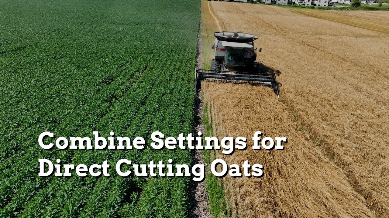 Combine Settings for Direct Cutting Oats - Practical Cover Croppers