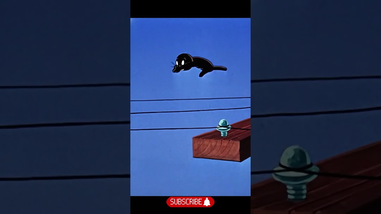 Jerry helped the seal escape from Tom 