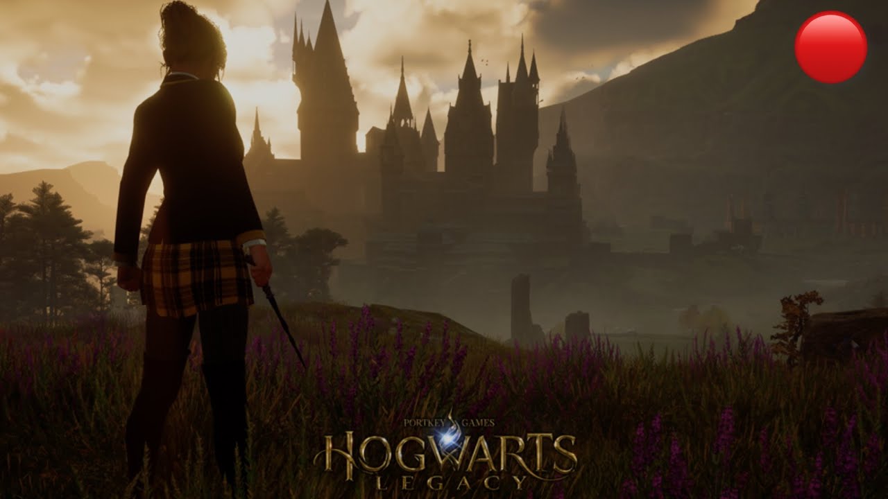 Hogwarts Legacy [C/MODS]