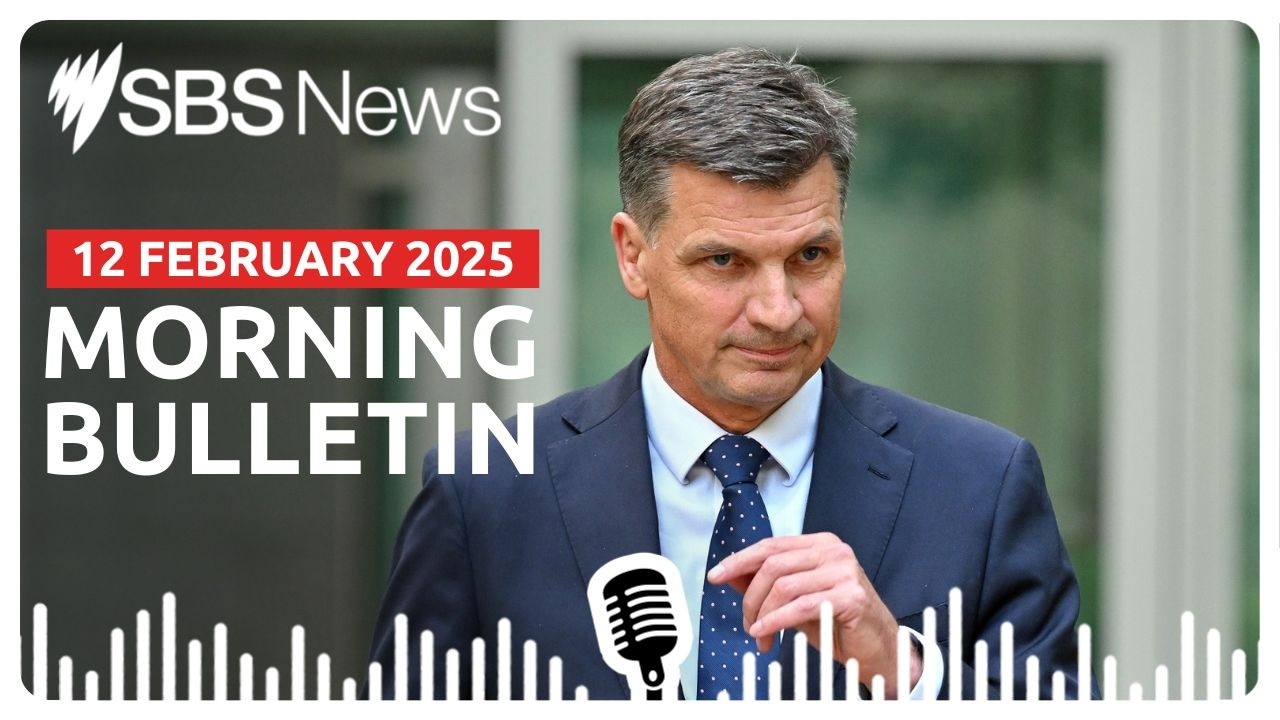 Angus Taylor resigns from the Liberals front bench | Morning News Bulletin 12 February 2026