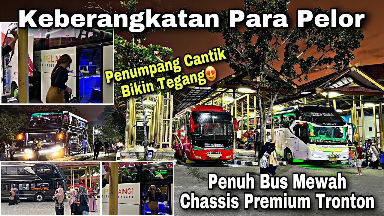 Keberangkatan Para Pelor ❗️ Penuh Bus Mewah & Penumpang Cantik 😍| Terminal Payung Sekaki Pekanbaru